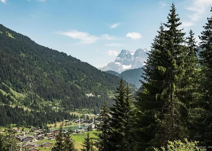 Tovassiere Ts119 Nature&view 6 Pers Châtel